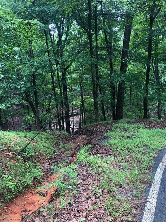 6055 Crested Iris Circle Property Photo 2