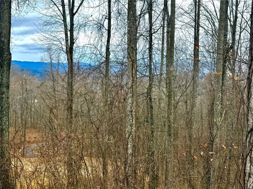Lot 7 Rocky Knob Drive Property Photo 1