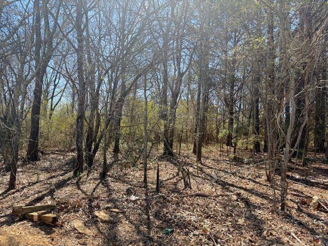 0 Mcdonough Parkway Property Photo 1