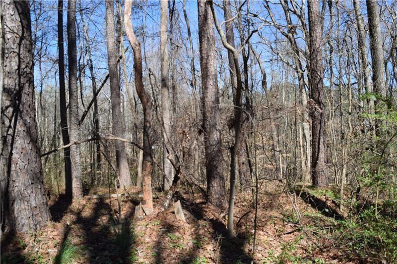 5320 Beth Drive Property Photo 3