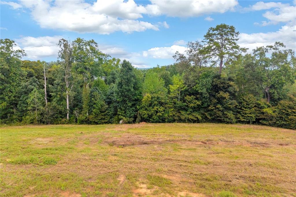 653 Racetrack Road Property Photo 6