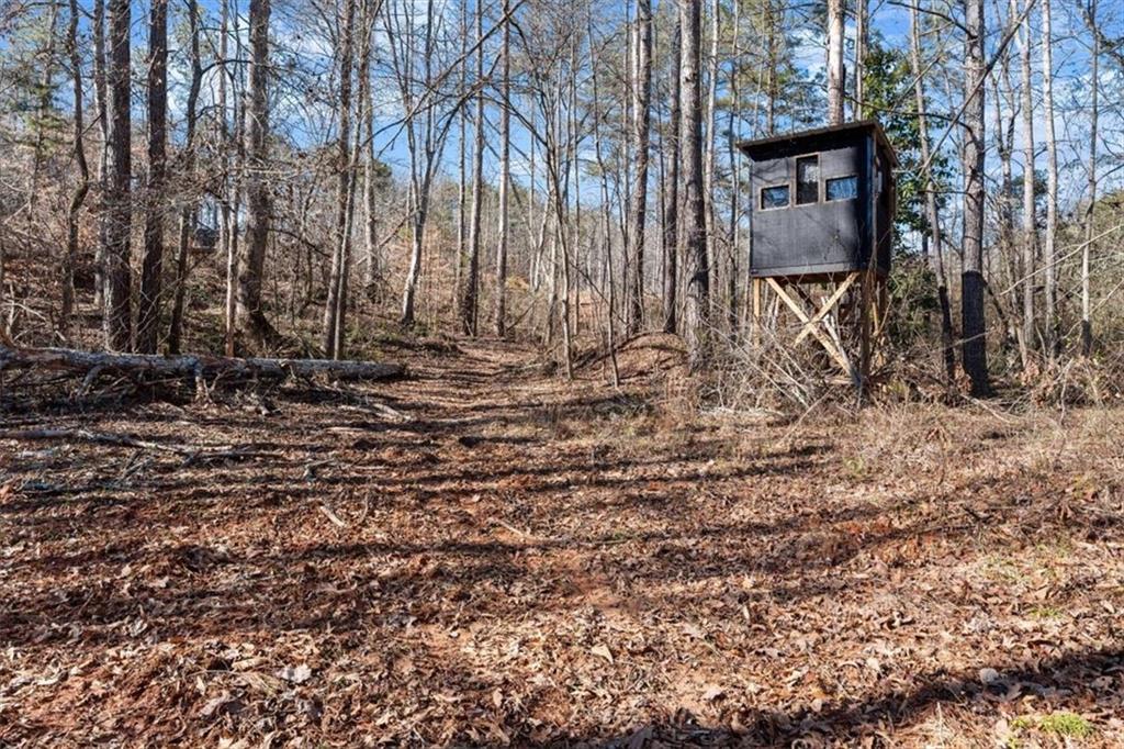 80 Hand Road Property Photo 50