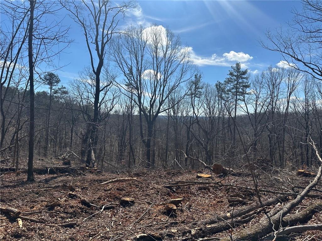 500 Chapman Ridge Lane Property Photo 1