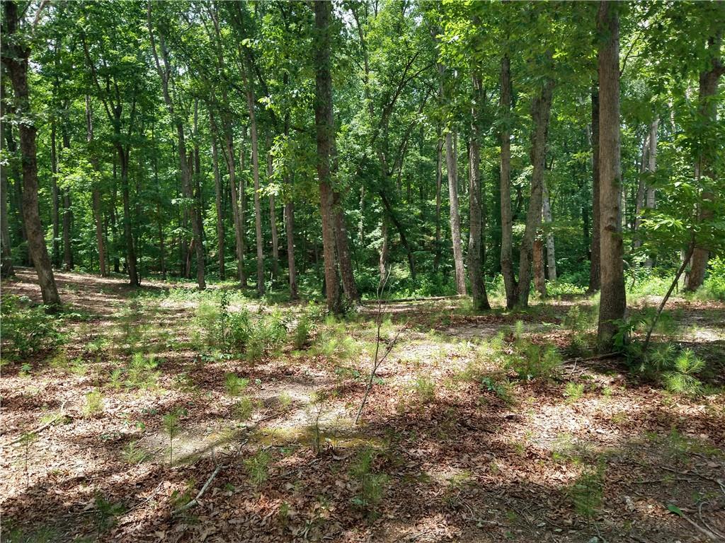2112 Allgood Road Property Photo 1