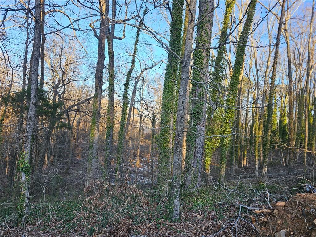 3060 Highway 20 Se Property Photo 1