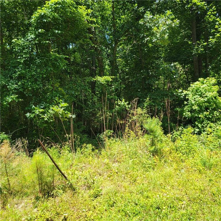 0 Spring Hill Drive Property Photo 1