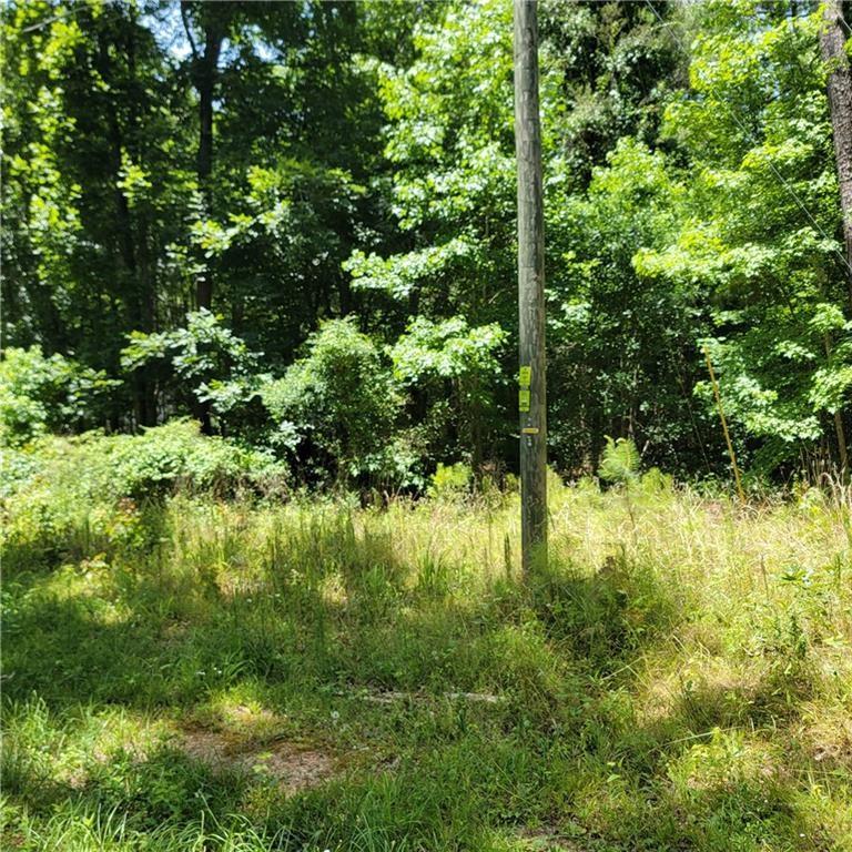0 Spring Hill Drive Property Photo 4
