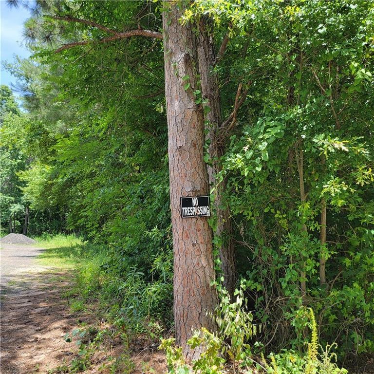 0 Spring Hill Drive Property Photo 7