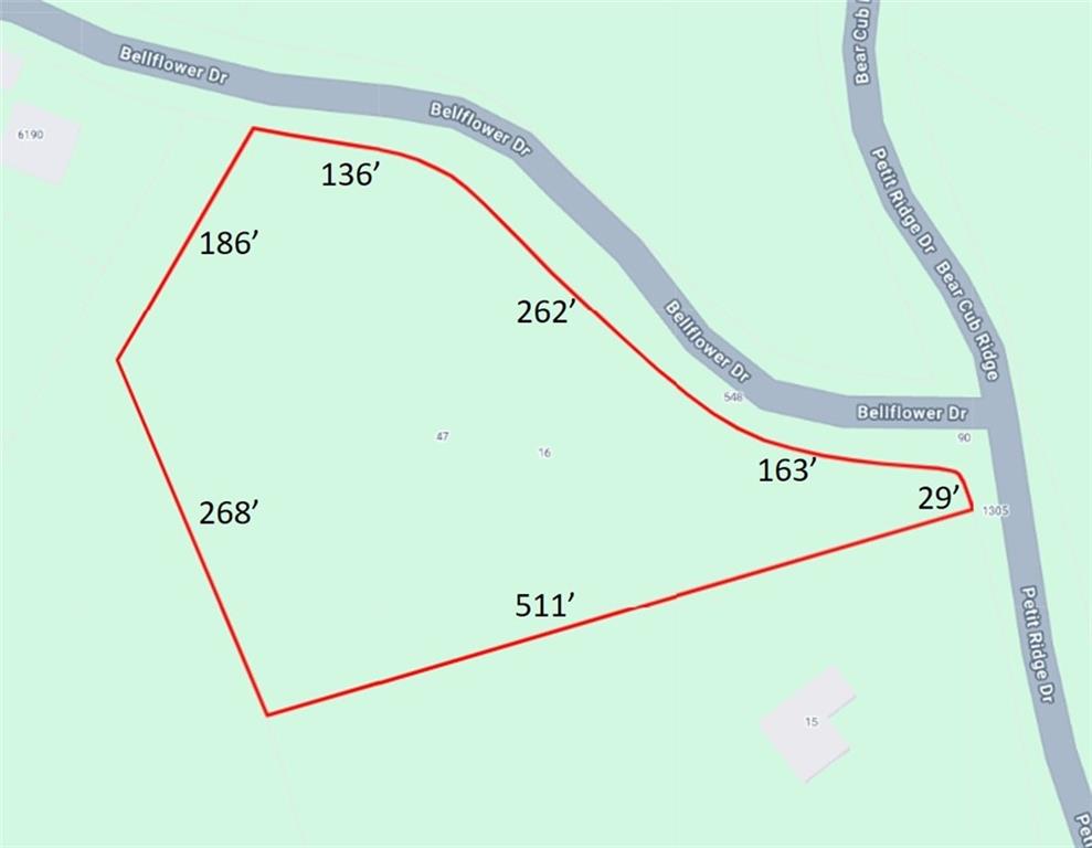 47 Bell Flower Drive Property Photo 2