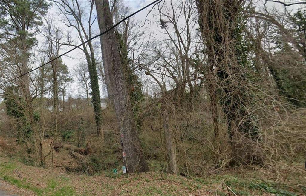 0 Lumpkin Street Property Photo 3