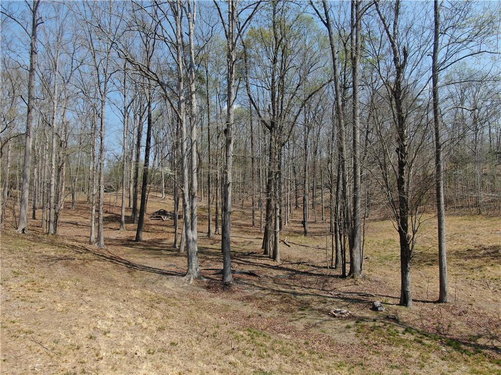 918 Purvis Road Property Photo 9