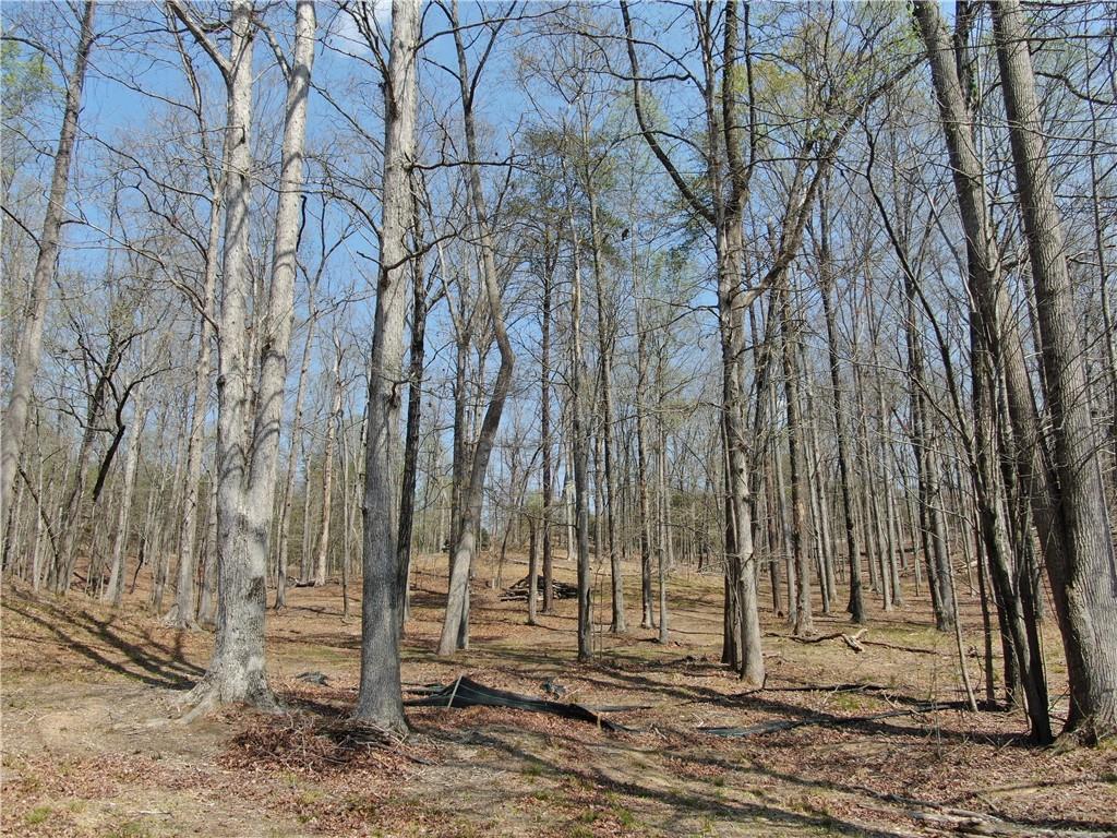 918 Purvis Road Property Photo 10