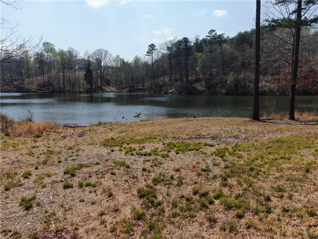 918 Purvis Road Property Photo 11