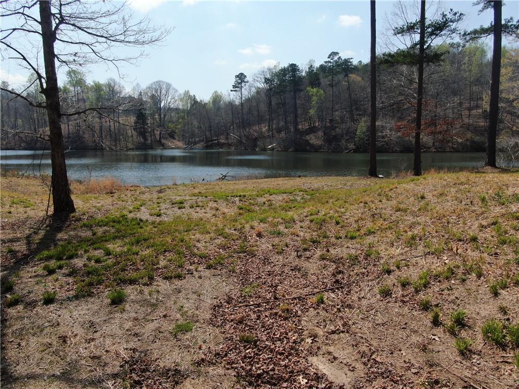 918 Purvis Road Property Photo 12