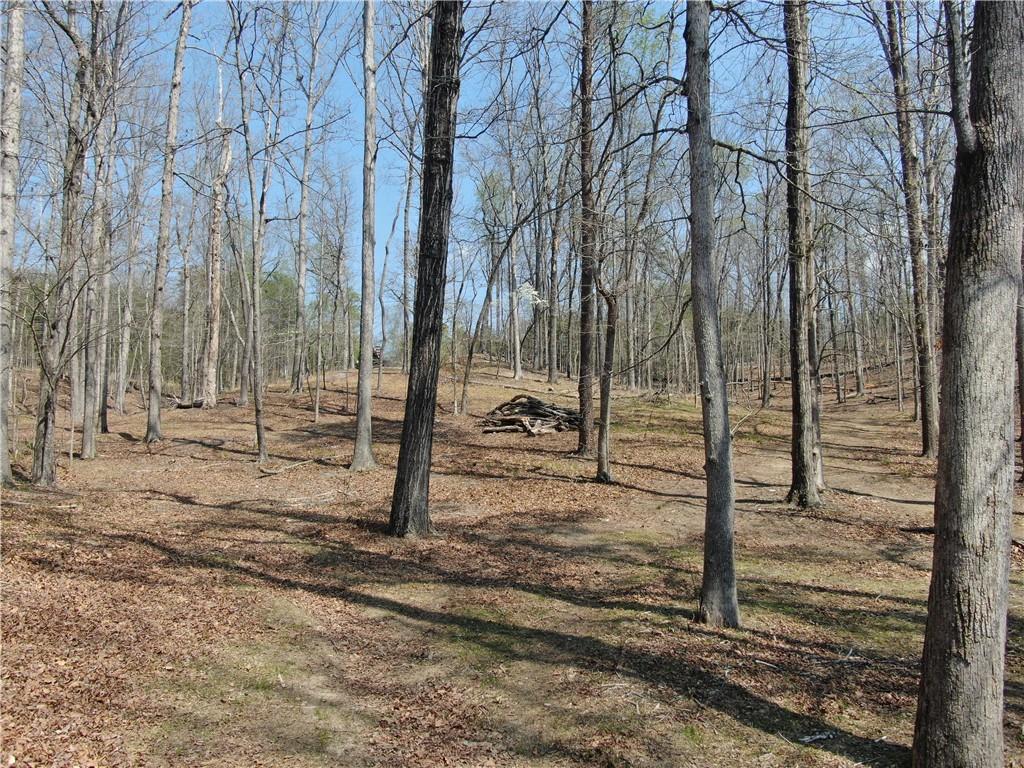918 Purvis Road Property Photo 13