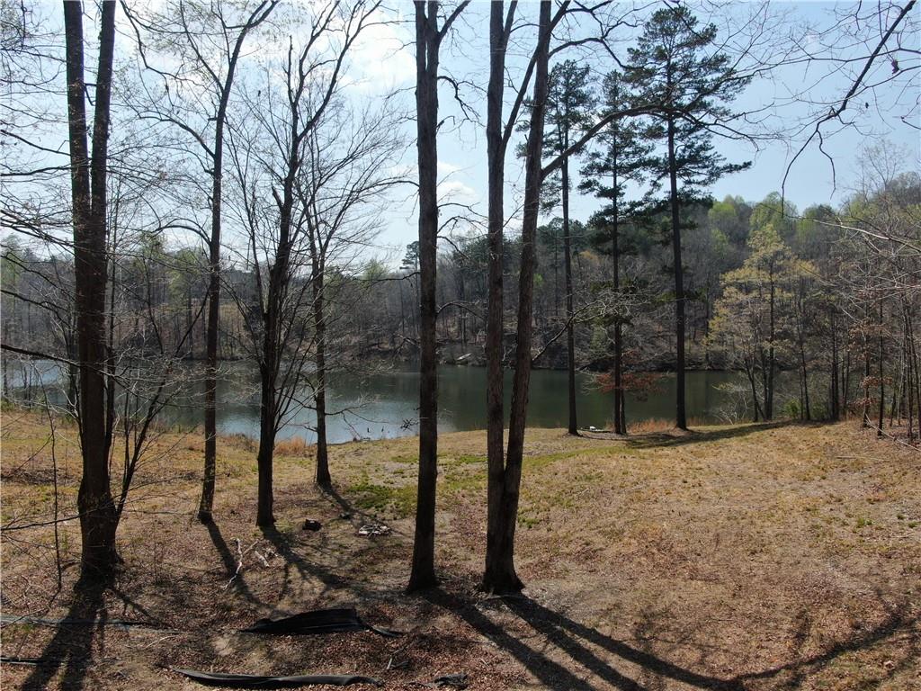 918 Purvis Road Property Photo 14