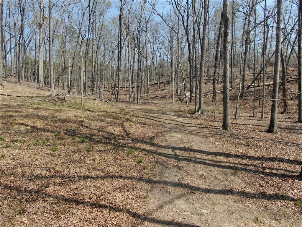 918 Purvis Road Property Photo 15