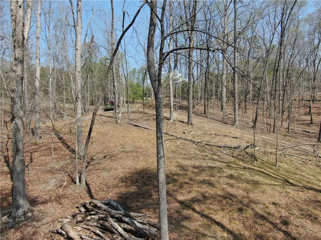 918 Purvis Road Property Photo 16
