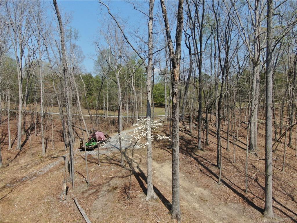 918 Purvis Road Property Photo 17