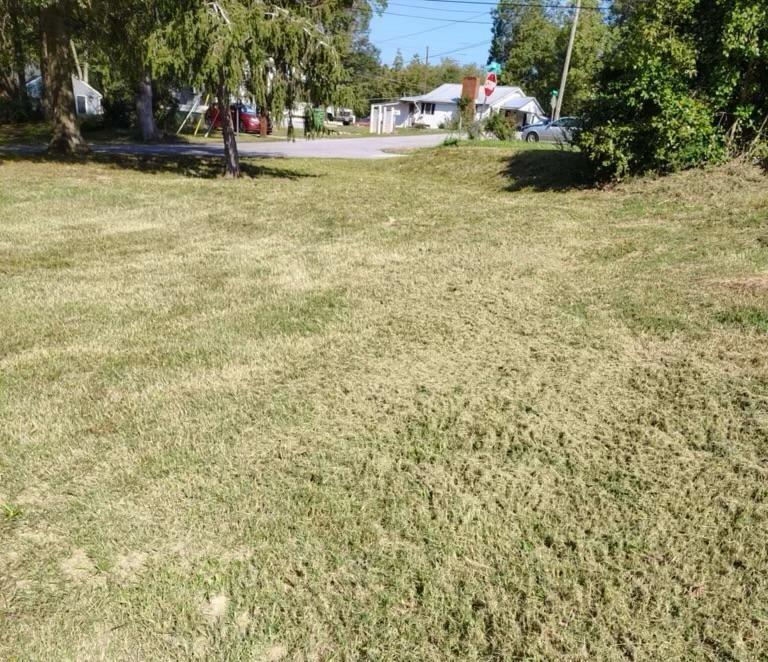 857 College Street Property Photo 1