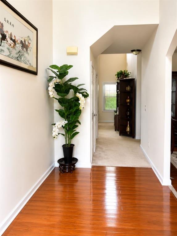 206 Tralee Circle Property Photo 3