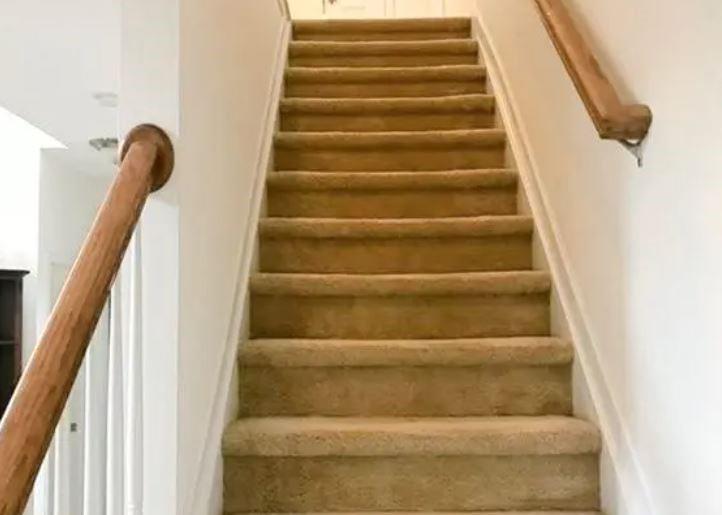206 Tralee Circle Property Photo 11