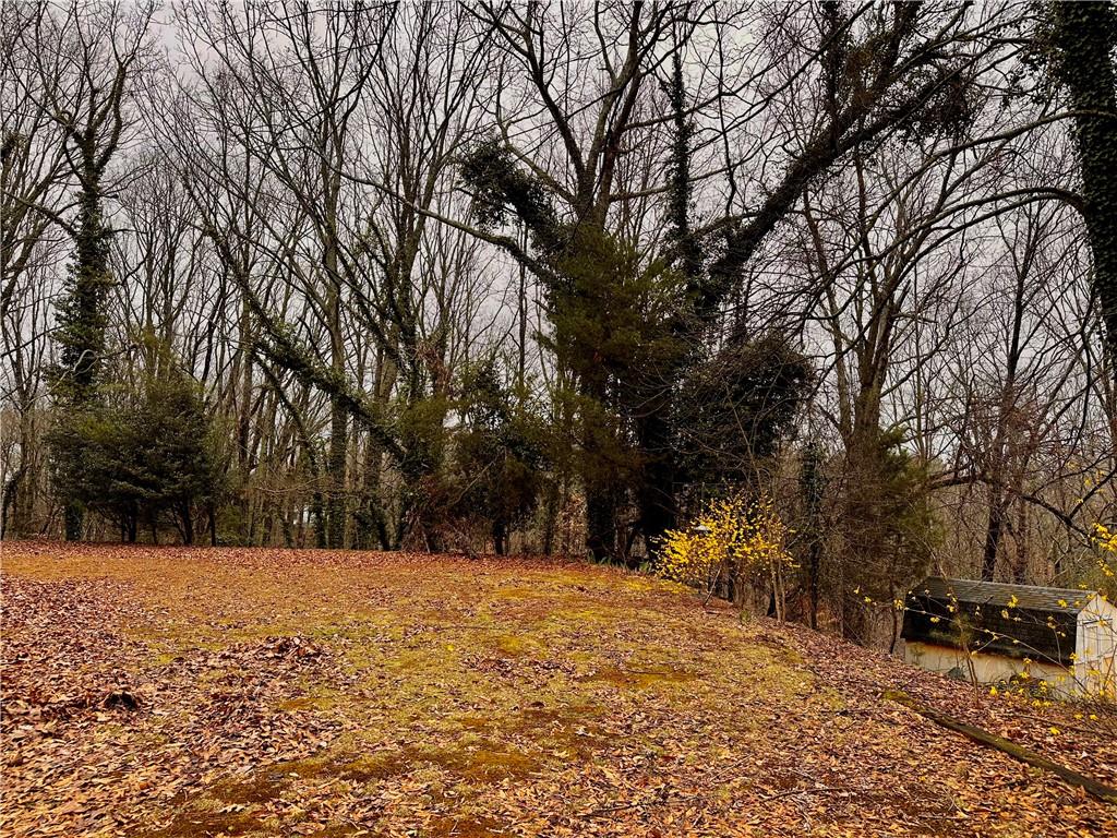 2598 White Sulphur Road Property Photo 3