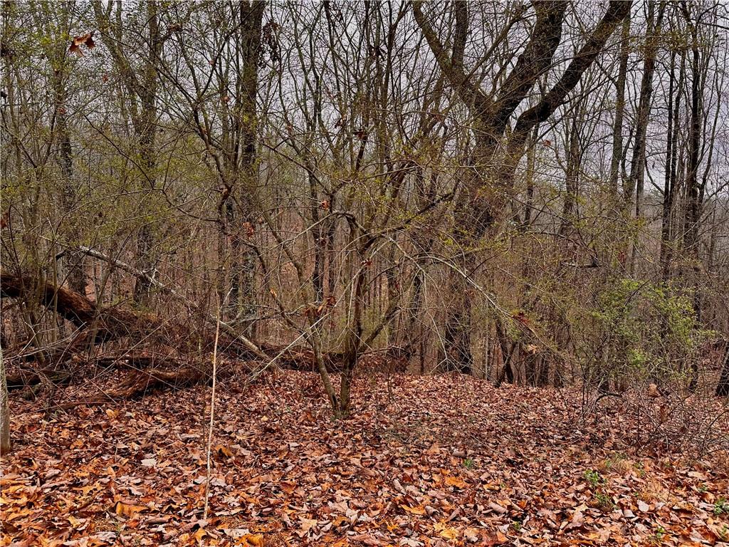 2598 White Sulphur Road Property Photo 5