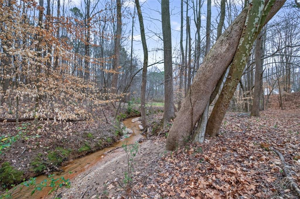 1020 Lower Union Hill Road Property Photo 59