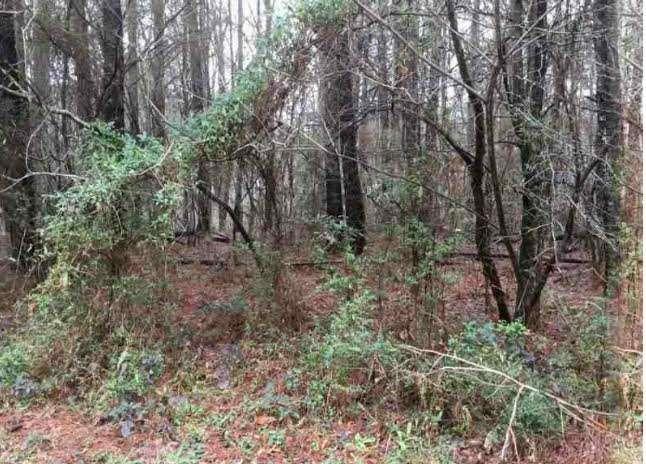 2115 Logan Drive Property Photo 5