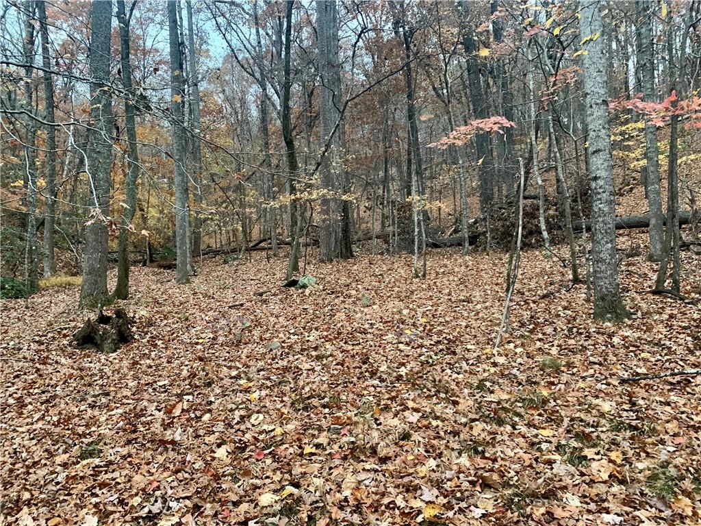 431 Tamarack Drive Property Photo 3