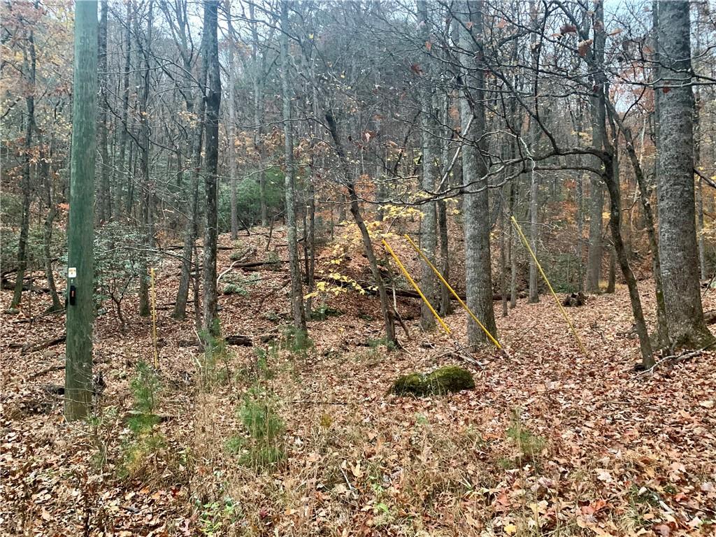 431 Tamarack Drive Property Photo 4