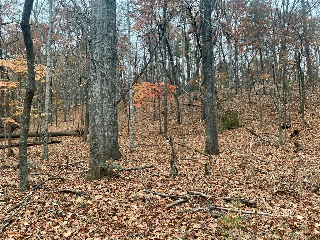 431 Tamarack Drive Property Photo 7