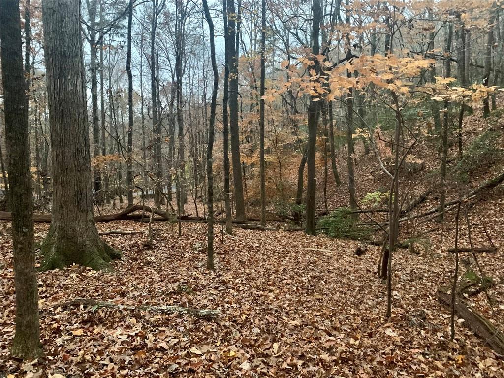 431 Tamarack Drive Property Photo 8