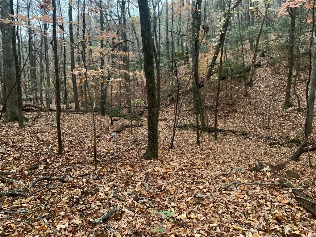 431 Tamarack Drive Property Photo 9