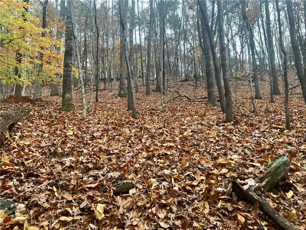 431 Tamarack Drive Property Photo 11