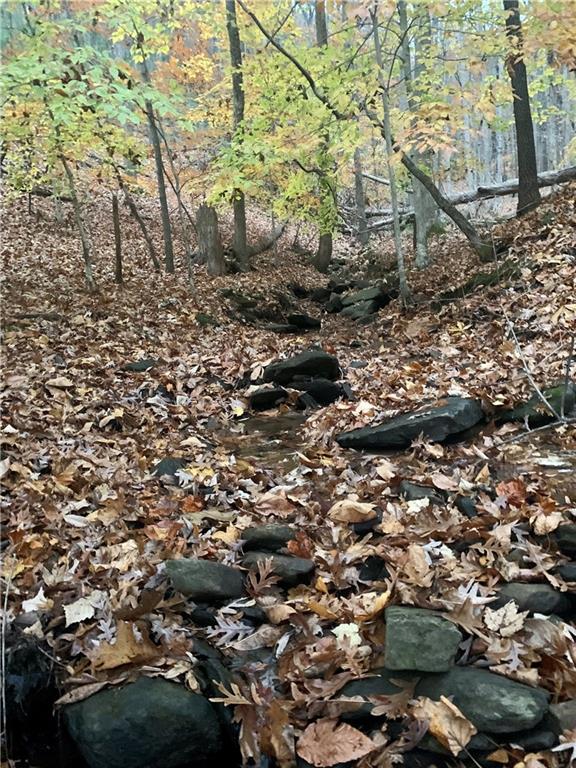 431 Tamarack Drive Property Photo 13