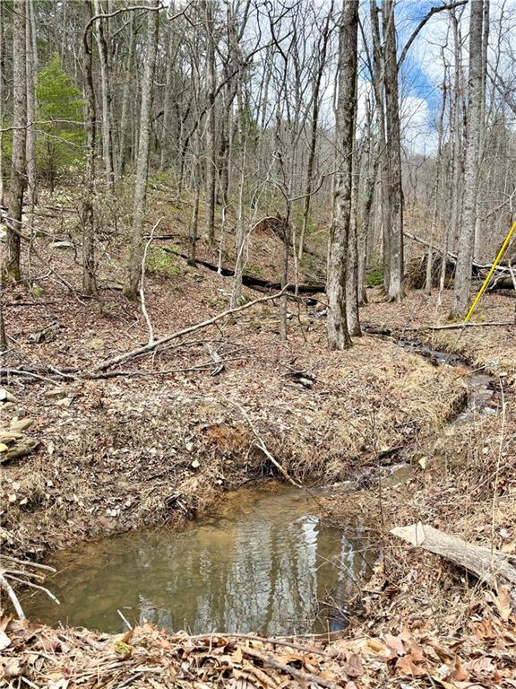 431 Tamarack Drive Property Photo 17