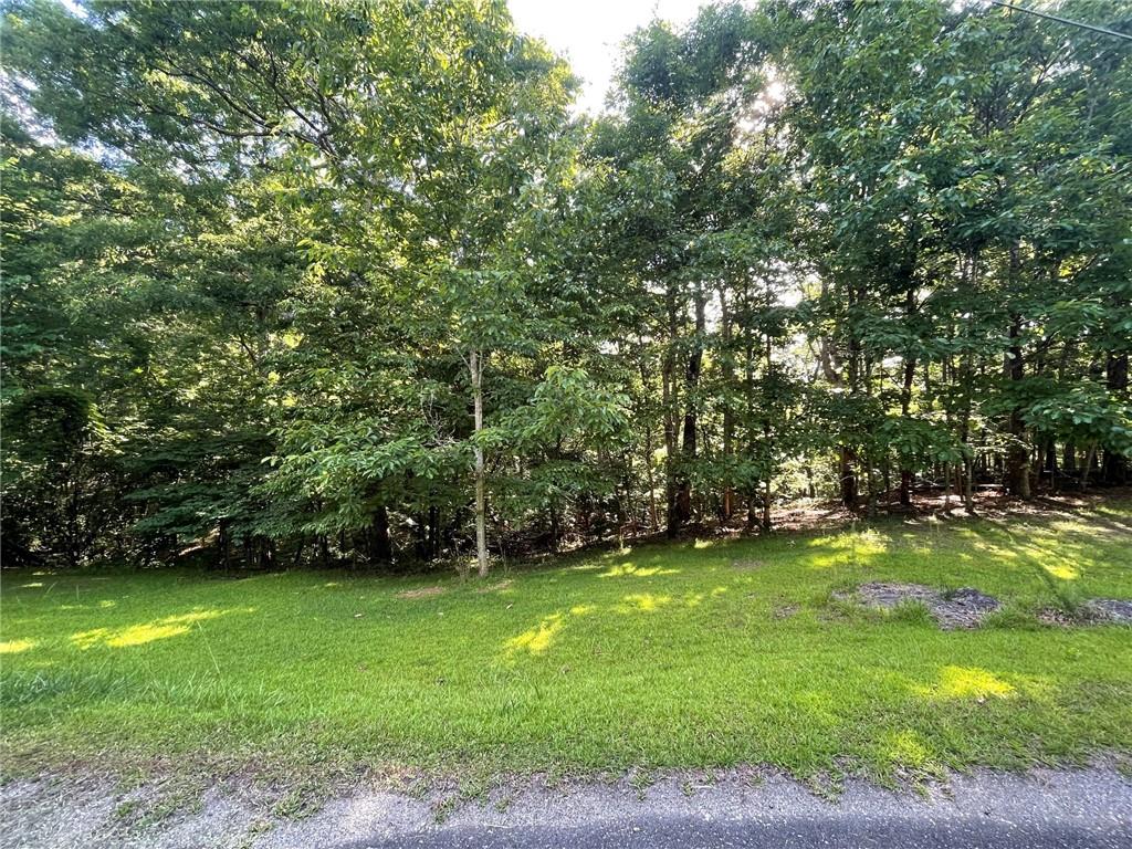 Lot 10 Olivia Lane Property Photo 1