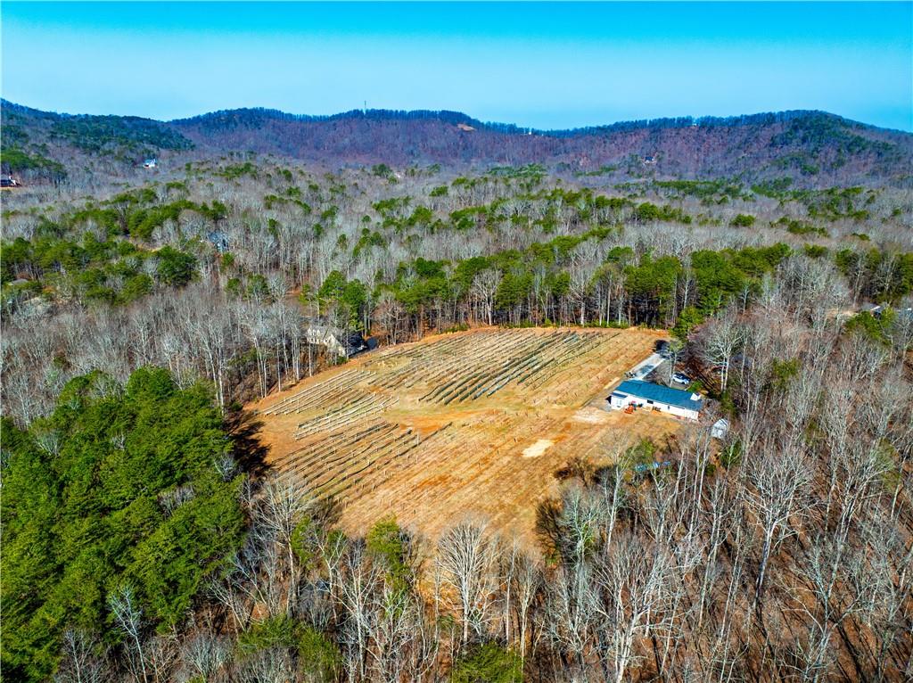 110 Rathgeb Trail Property Photo 11