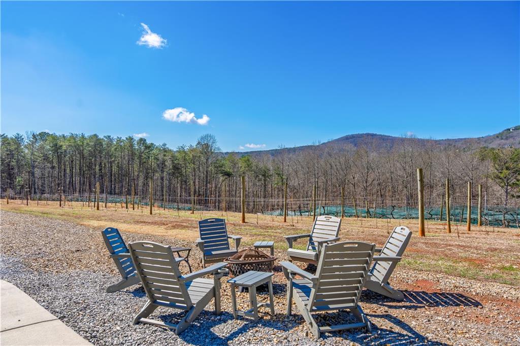 110 Rathgeb Trail Property Photo 28