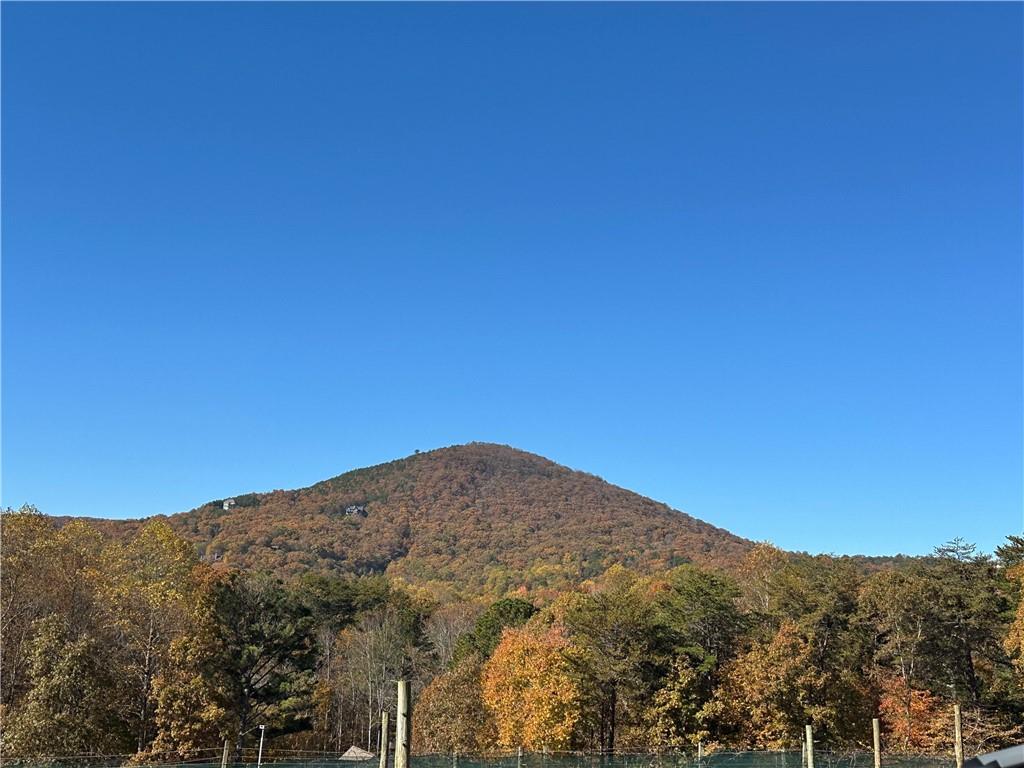 110 Rathgeb Trail Property Photo 54