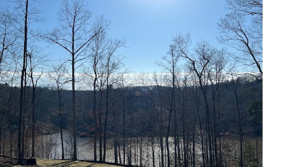 940 Purvis Road Property Photo 2