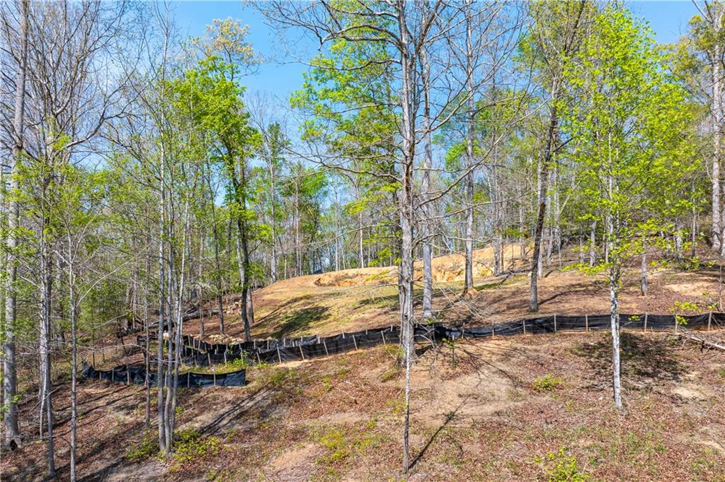940 Purvis Road Property Photo 23