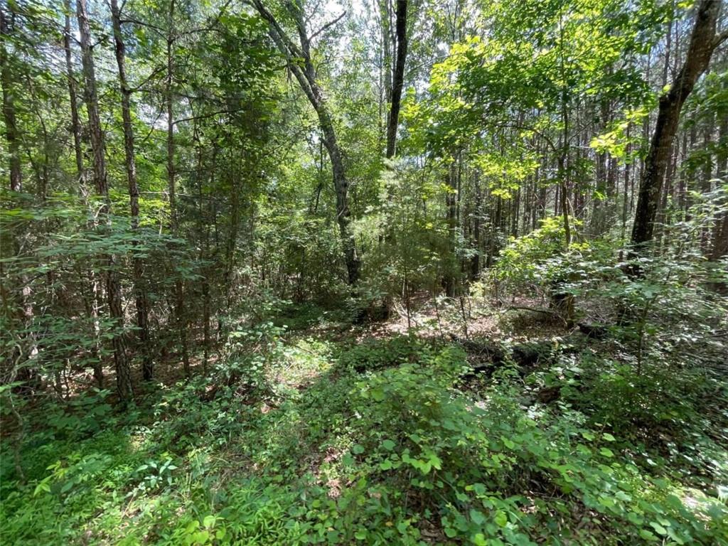 0 Fallen Branch Circle Property Photo 16
