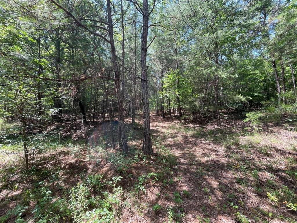 0 Fallen Branch Circle Property Photo 29