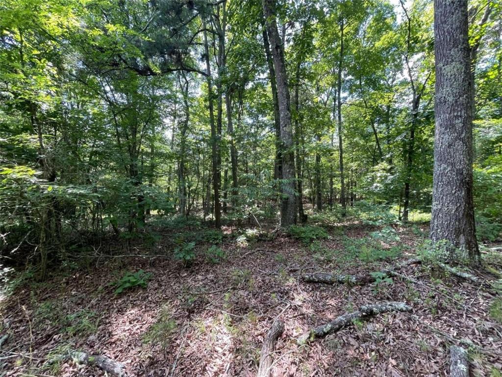 0 Fallen Branch Circle Property Photo 33