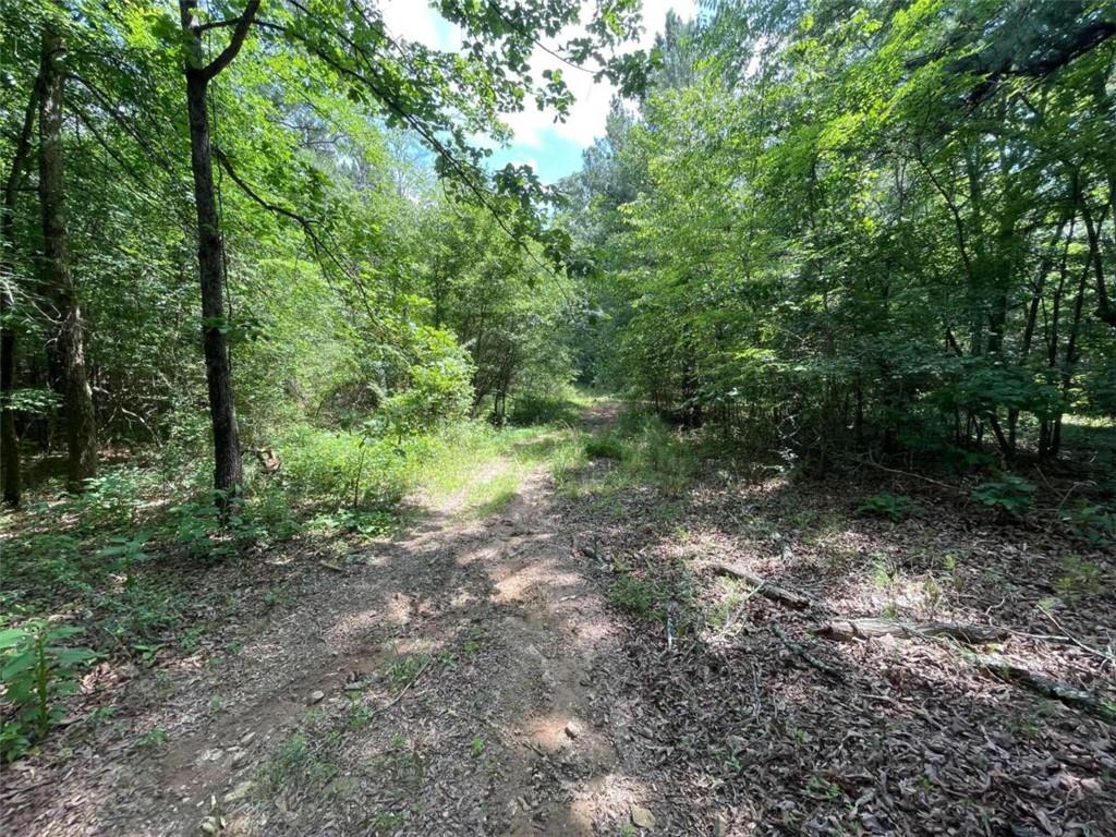 0 Fallen Branch Circle Property Photo 35