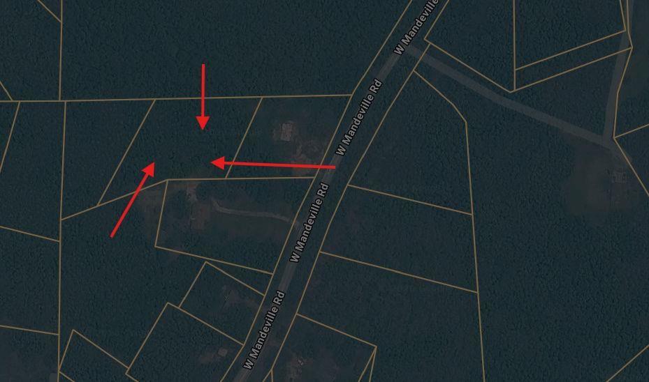 0 West Mandeville Road Property Photo 1
