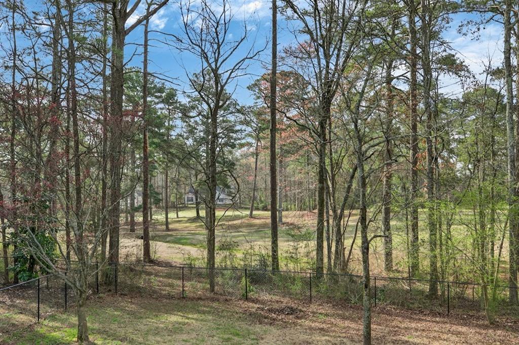 8993 Dornoch Circle Property Photo 22